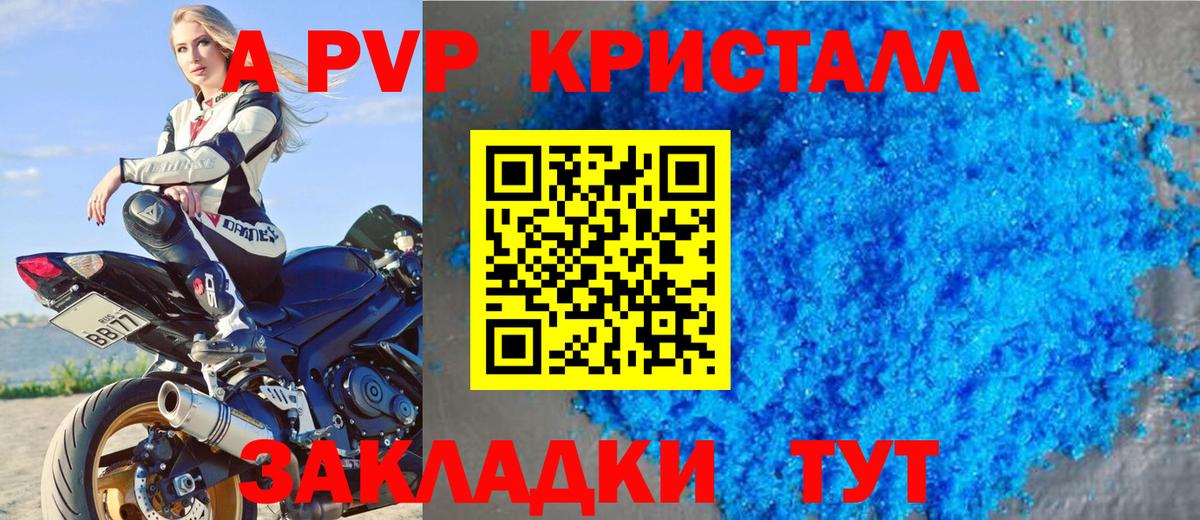 Alfa_PVP СК Рязань