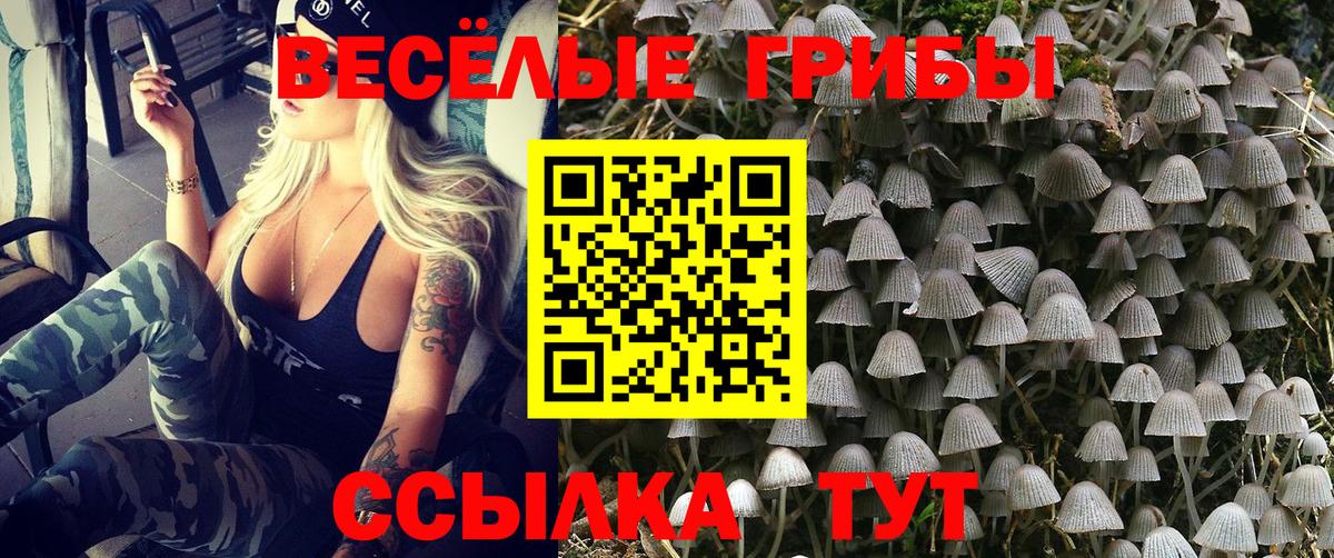 Галлюциногенные грибы мицелий Рязань