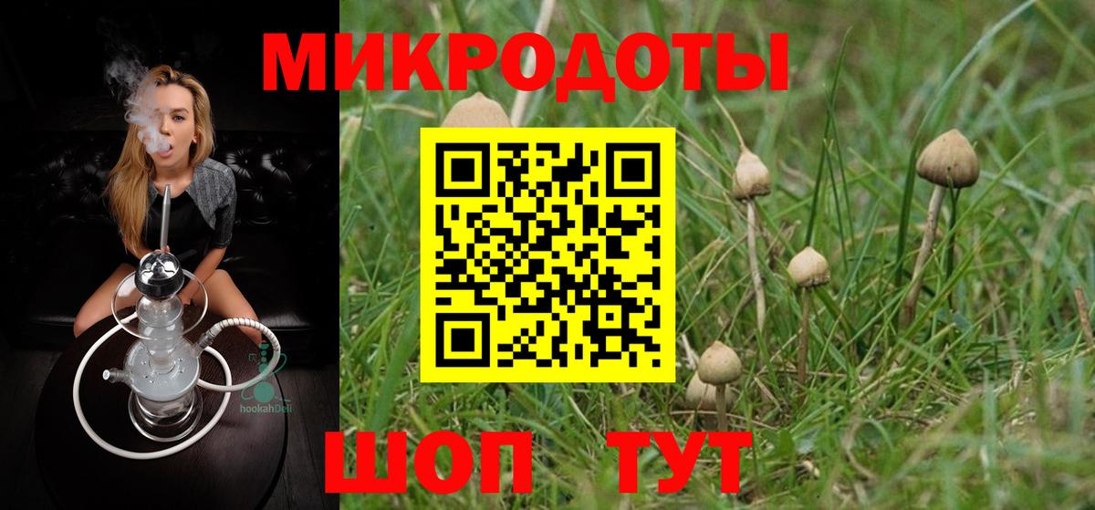 Рязань  Галлюциногенные грибы мицелий  Вход с VPN 